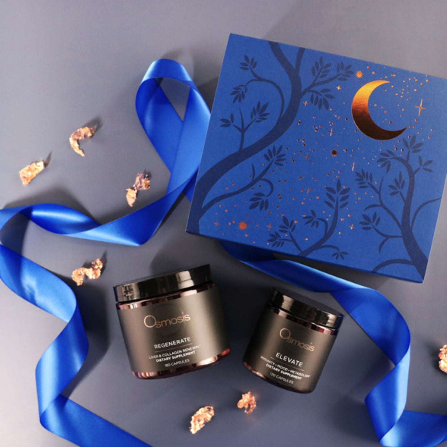 Gemini Alignment Wellness Kit